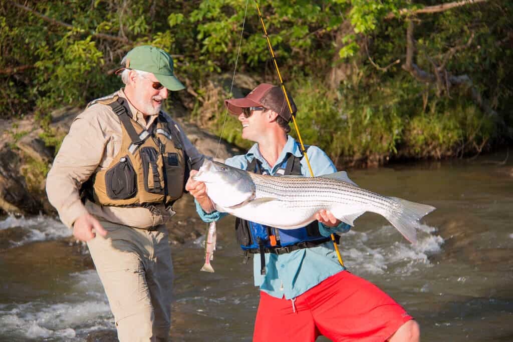 swimbait fishing swimbait fishing