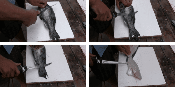 Best Electric Fillet Knife Best Electric Fillet Knife