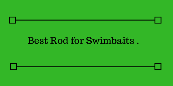 Best Rod for Swimbaits