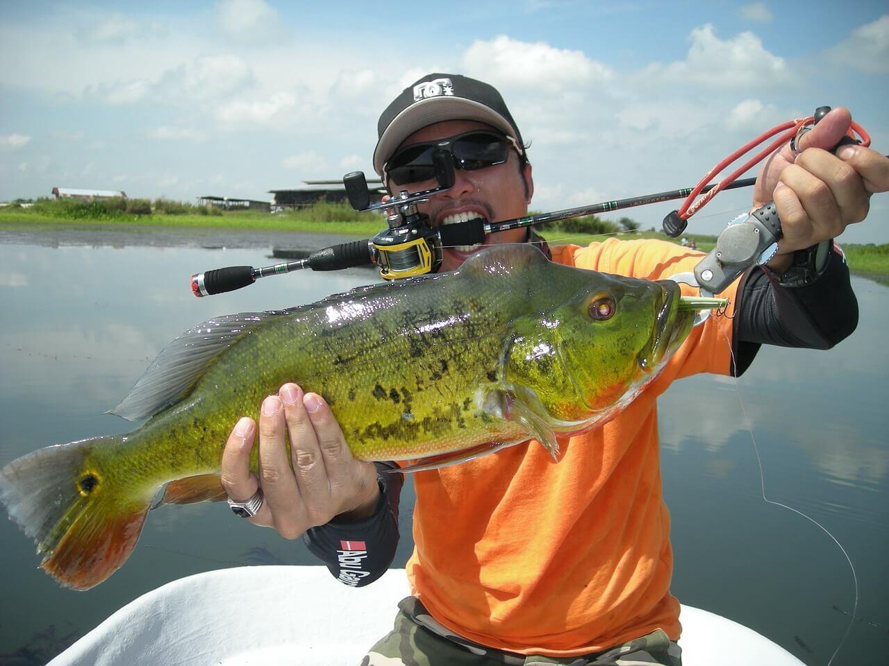 Bass Fishing Line Bass Fishing Line