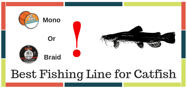 Best Fishing Line For Catfish