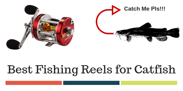 Best Reels For Catfish