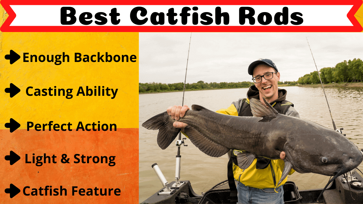 best catfish spinning rod