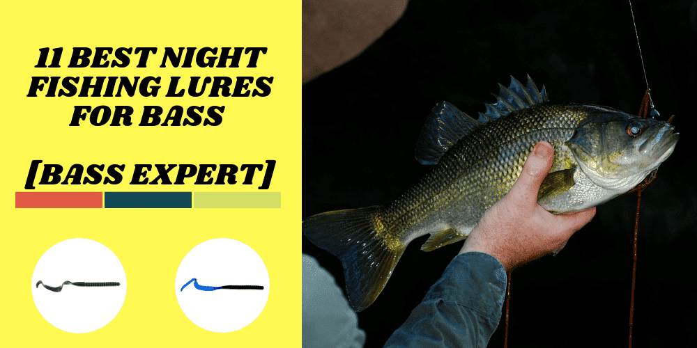 Best Night Fishing Lures for Bass