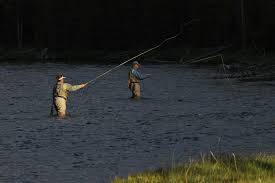 Freshwater fly fishing