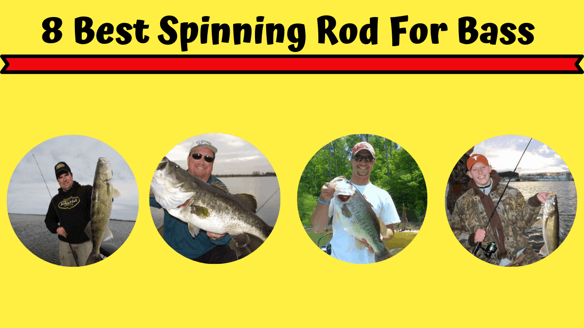 8 Best Spinning Rod for Bass In 2023