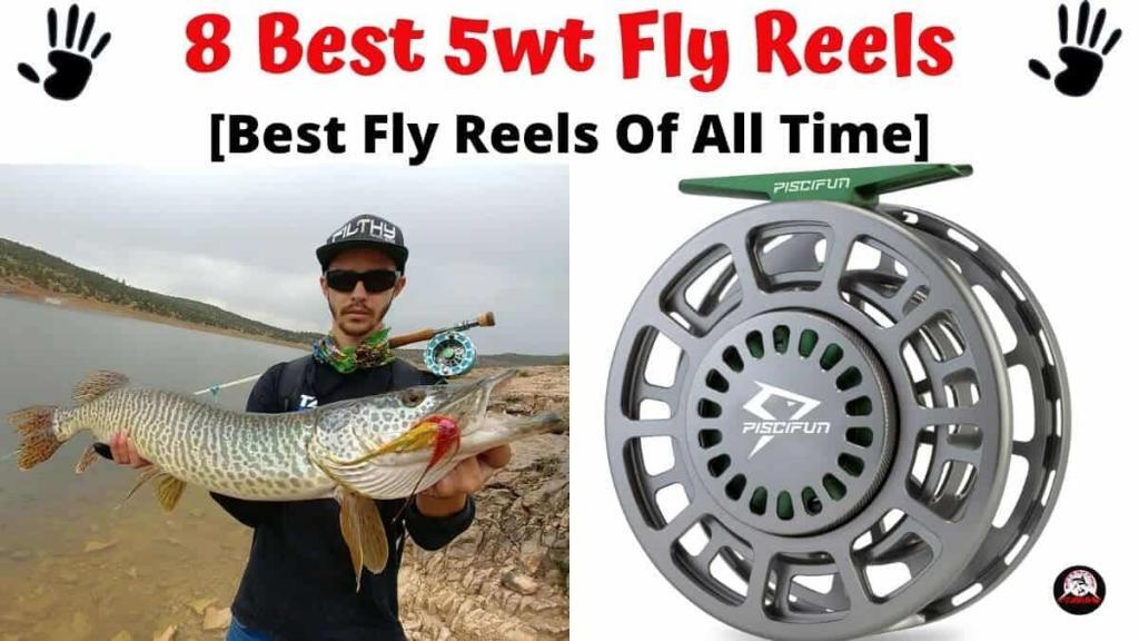Best 5wt Fly Reels