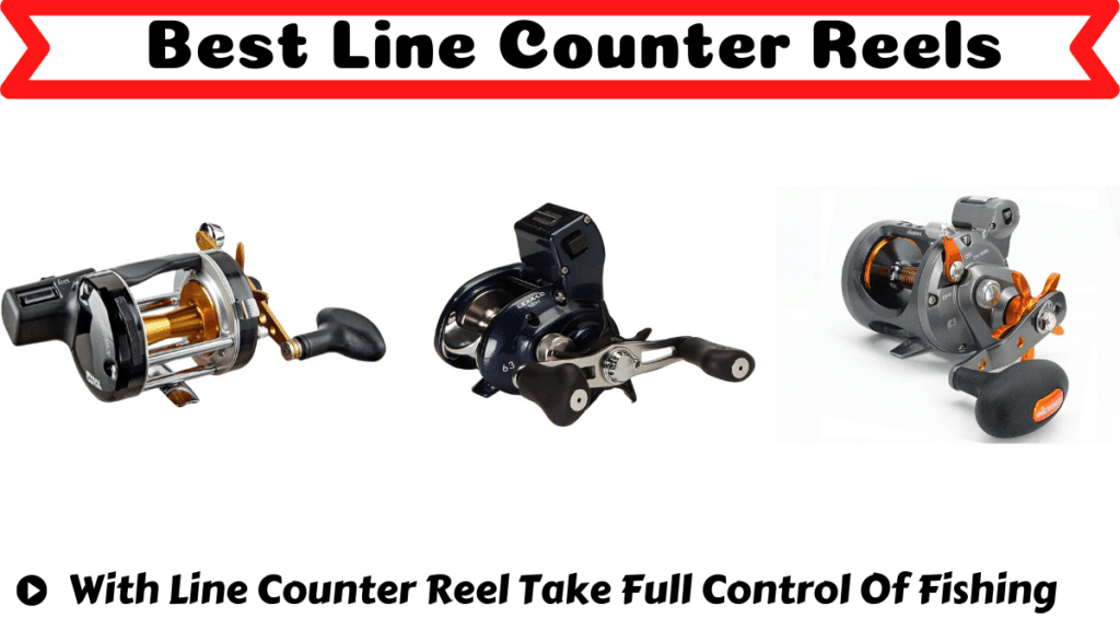 Best Line Counter Reels
