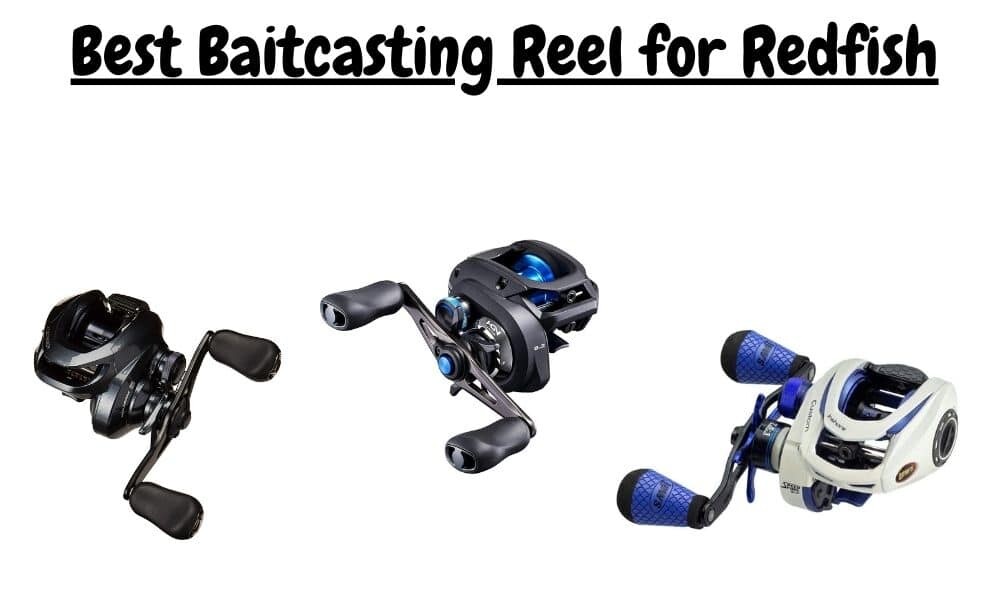Best Baitcasting Reel for Redfish