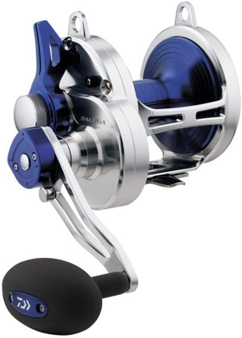 5 Best Grouper Reels In 2023 [Strongest Reel]