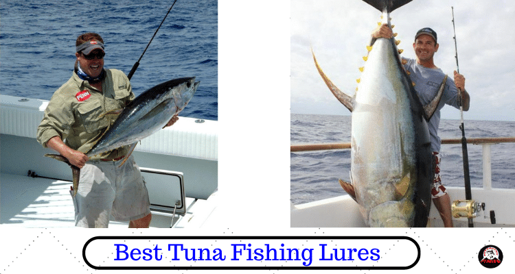 Best Tuna Fishing lures
