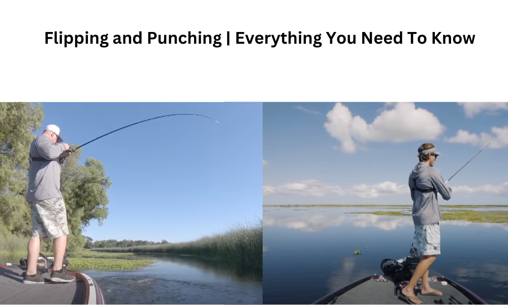Flipping and Punching Everything You Need To Know