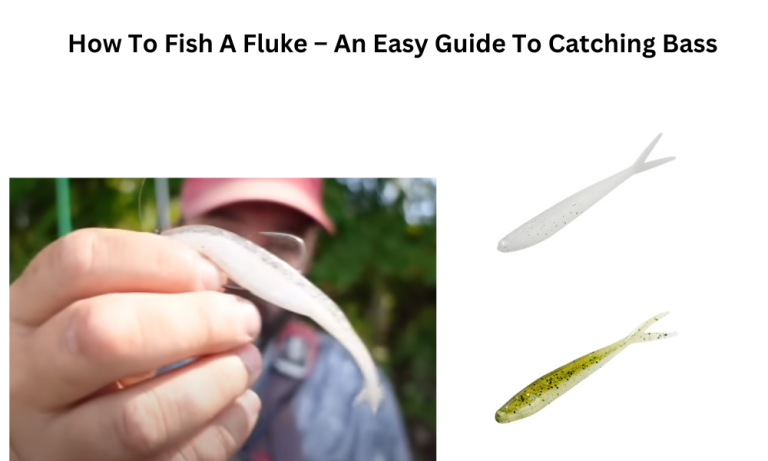 How To Fish A Fluke - An Easy Guide To Catching Bass - Attractive Fishing
