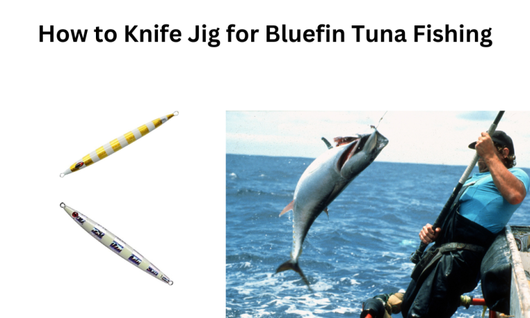 How To Knife Jig For Bluefin Tuna Fishing A Comprehensive Guide