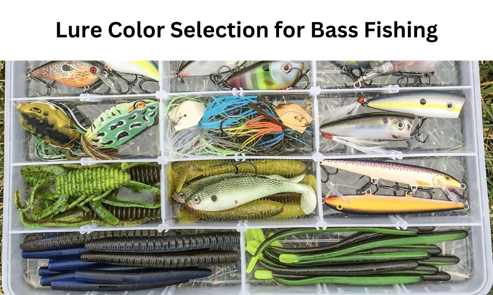 Lure Color Selection for Bass Fishing