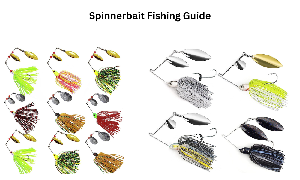 Spinnerbait Fishing Guide