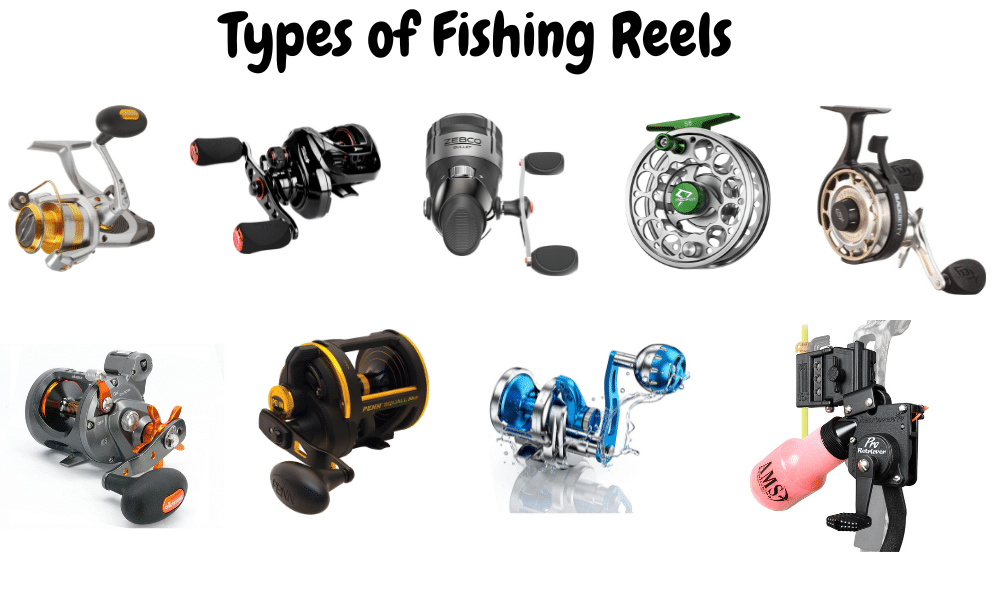 Types Of Fishing Reels 