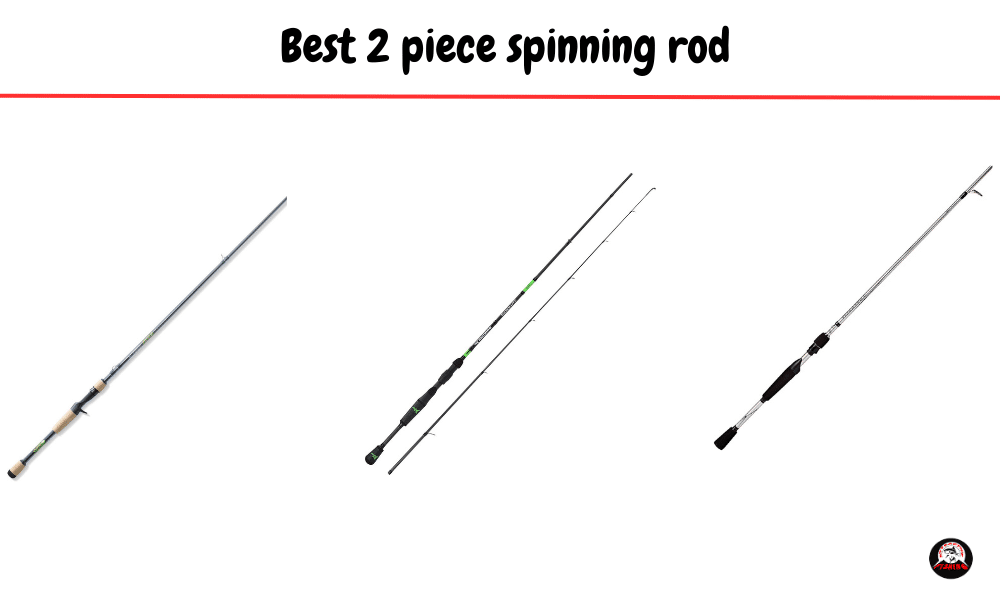 best 2 piece spinning rod